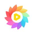 全局透明壁纸iOS版