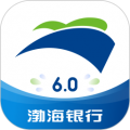 渤海银行安卓版