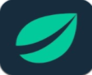 bitfinex交易所