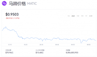 MATIC币今日行情 MATIC马蹄币最新币价是多少？