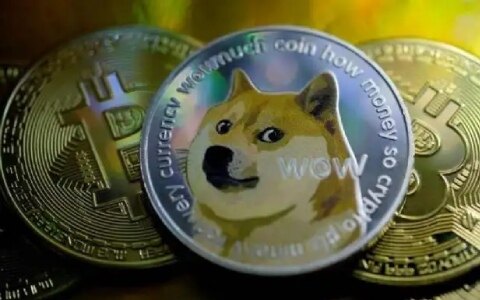 十大虚拟货币排名 比特第一狗狗币上榜-第3张图片-币安app下载