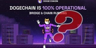 狗狗链遭黑停机疑云！开发者：bug误铸970万枚wDoge给他 - 币安app下载