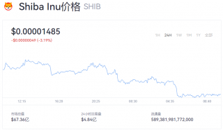 SHIB今日最新动态 SHIB实时行情查询