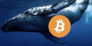 砸盘？沉睡九年巨鲸1周内转出1.5万枚比特币 部分流向币安、Kraken - 币安app下载