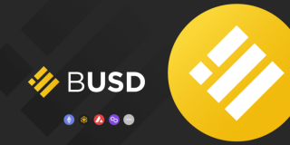 币安：BUSD已完成雪崩、Polygon *** 整合！开放充提服务 - 币安应用程序(Binance交易所)