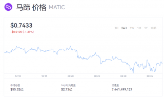 MATIC币一个的币价多少钱？马蹄币动态最新行情
