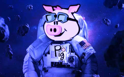 pig币手机app最新版 pig币猪猪币安卓版下载-第1张图片-币安app官方下载最新版