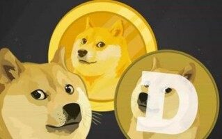 dogeking交易平台app下载_DOGE币交易平台最新免费下载