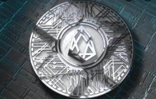 柚子币安卓版本 柚子币最新版