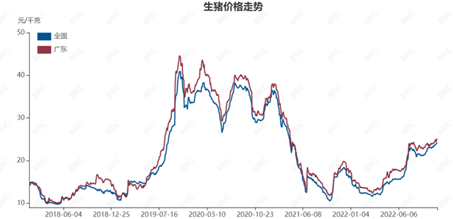 “二师兄”又成主角，C位会站多久？-第1张图片-币安app官方下载最新版