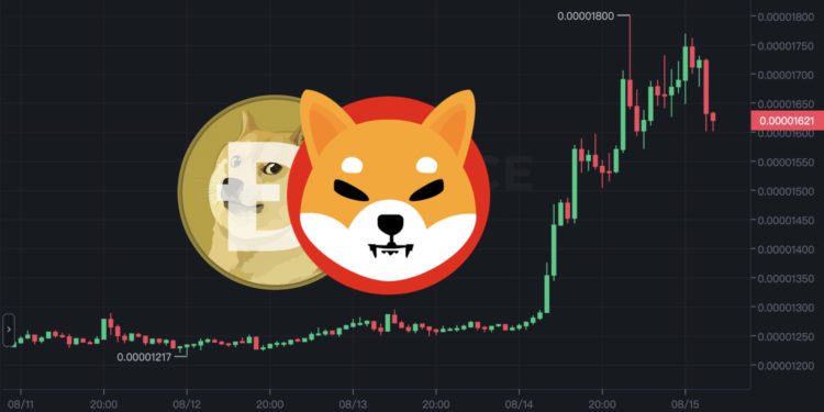 MEME板块暴涨！SHIB暴涨40%市值超AVAX 狗狗币也上涨17%
