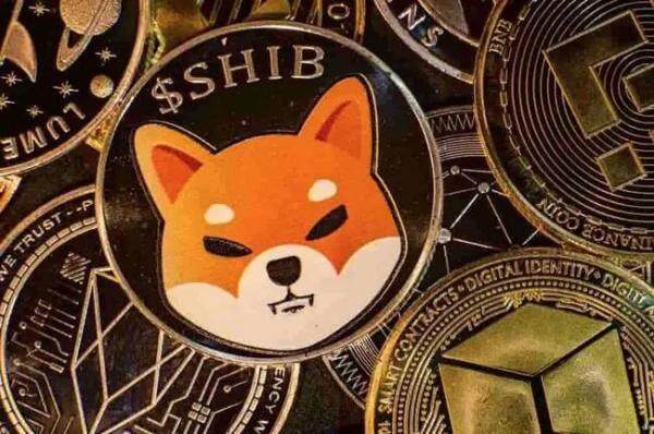 一、shib是什么? shib币未来前景怎么样-第1张图片-币安app官方下载最新版