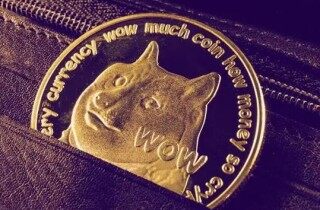 【狗币】狗狗币dog币专业版下载 狗狗交易所手机端