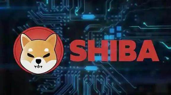 shib交易所app下载地址 shib交易所v6.0.48安卓中国版-第1张图片-币安app下载 shib交易所app下载地址 shib交易所v6.0.48安卓中国版-第1张图片-币安app下载