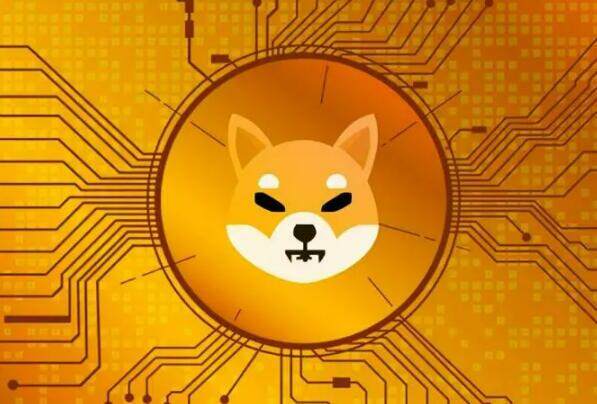 维卡币2021年可值多少钱(维卡币2021年价格)-第1张图片-币安app下载