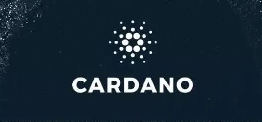  艾达币涨到100美金一个是真的吗  艾达币下跌原因