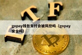 gopay钱包支付会被风控吗（gopay安全吗）