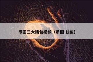 币圈三大钱包视频（币圈 钱包）_ok交易所