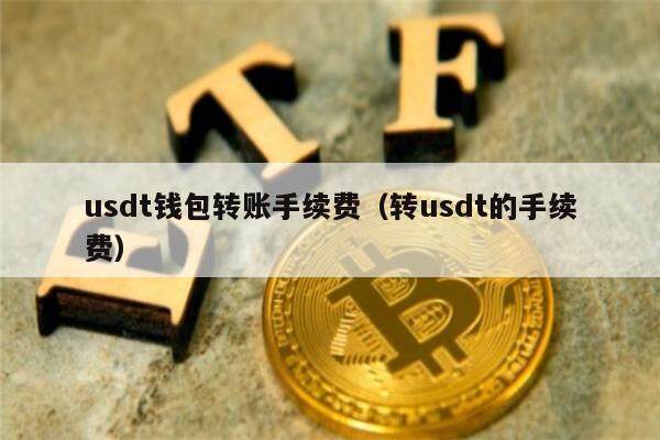 usdt钱包转账手续费（转usdt的手续费）-第1张图片-币安app官方下载最新版