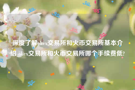 欧意安卓版最新版下载官网-深度了解oke交易所和火币交易所基本介绍 oke交易所和火币交易所哪个手续费低-第1张图片-币安app下载