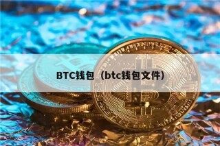 BTC钱包（btc钱包文件）