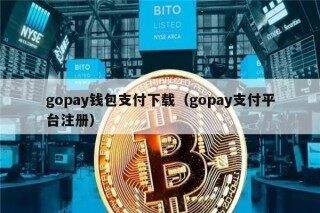 gopay钱包支付下载（gopay支付平台注册）