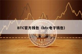 BTC官方钱包（btc电子钱包）