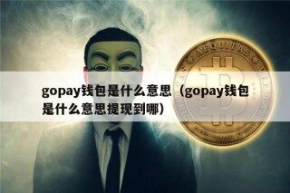gopay钱包是什么意思（gopay钱包是什么意思提现到哪）