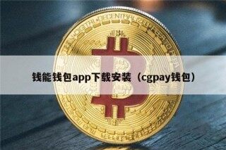 钱能钱包app下载安装（cgpay钱包）
