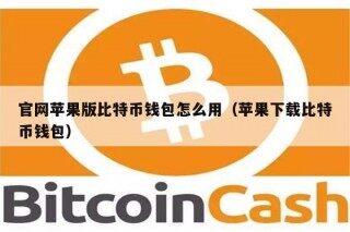 官网苹果版比特币钱包怎么用（苹果下载比特币钱包）