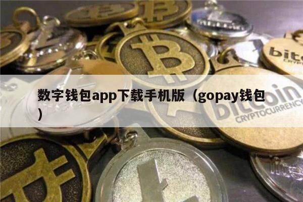 数字钱包app下载手机版（gopay钱包）-第1张图片-币安app下载