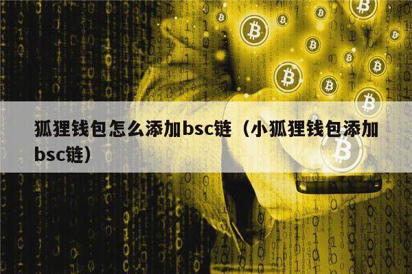 狐狸钱包怎么添加bsc链（小狐狸钱包添加bsc链）-第1张图片-币安app下载