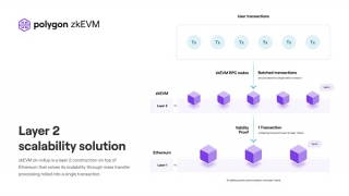 Forsight Vnturs: 从 Polygon zkVM 出发 理解 zkVM Rollup