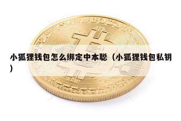 小狐狸钱包怎么绑定中本聪（小狐狸钱包私钥）-第1张图片-币安app下载