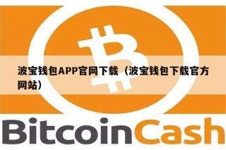 波宝钱包APP官网下载（波宝钱包下载官方网站）