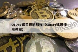 cgpay钱包充值教程（cgpay钱包使用教程）