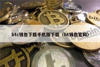 btc钱包下载手机版下载（bt钱包官网）