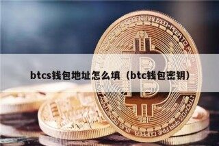 btcs钱包地址怎么填（btc钱包密钥）