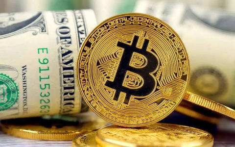 新加坡使用什么平台买卖比特币？loptrade比特币交易平台-第1张图片-币安app下载