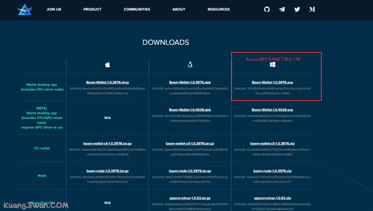 BEAM Wallet怎么使用？BEAM钱包使用图文教程-第1张图片-币安app下载