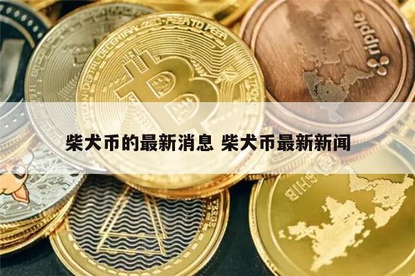 2022柴犬币几月份开始涨 - 狗狗币屎币暴涨出圈 奇怪概念的小众币风险几何