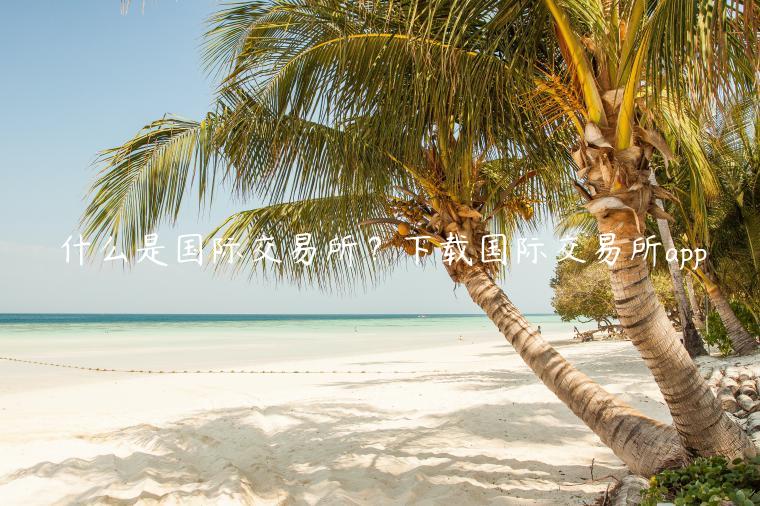 什么是国际交易所？下载国际交易所app-第1张图片-币安app下载
