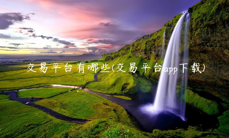 交易平台有哪些(交易平台app下载)-第1张图片-币安app下载