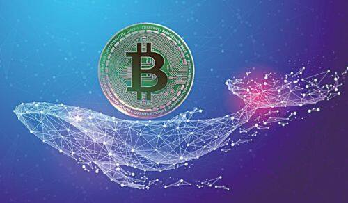 (btc期货交易平台安装)btc虚拟币期货交易APP地址-第1张图片-币安app下载