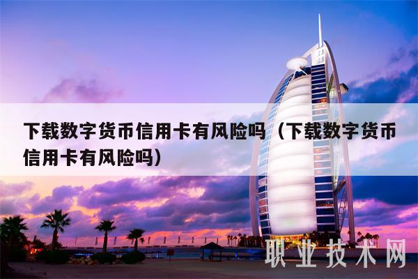 下载数字货币信用卡有风险吗（下载数字货币信用卡有风险吗）-第1张图片-币安app下载