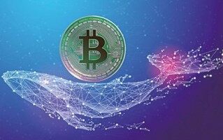 - btc期货交易平台安装btc虚拟币期货交易APP地址
