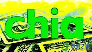 奇亚币安卓最新版下载地址 Chia币最新版下载链接