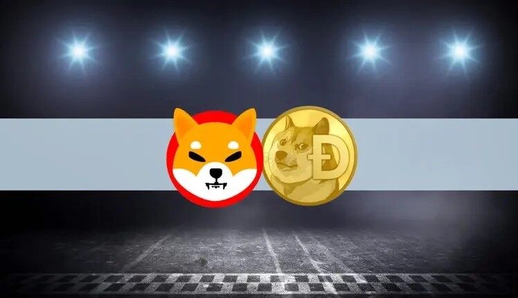 柴犬币在哪里买靠谱？正规SHIB交易所大盘点-第1张图片-币安app下载