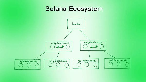 Aptos是资本推动的又一个Solana吗？-第5张图片-币安app下载