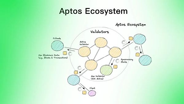 Aptos是资本推动的又一个Solana吗？-第6张图片-币安app下载